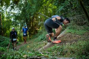 BIB: 
                            <button type="button" onclick="openModal(19428603)" class="btn btn-primary btn-sm float-right btn-popup" data-toggle="modal" data-target=".modal-high-quality">
                        <i class="fas fa-shopping-cart"></i> Add to Cart
                    </button>
                                            <button type="button" onclick="isThisMe(19428603, true)" class="btn btn-success btn-sm float-right btn-popup btn-isme hidden" data-toggle="tooltip" data-placement="bottom" title="นี่คือรูปของคุณใช่ไหม คลิกที่นี่เพื่อเอาเข้าอัลบั้ม">
                        <i class="fas fa-plus"></i> Add to album
                    </button>
                    <button type="button" onclick="isThisMe(19428603, false)" class="btn btn-warning btn-sm float-right btn-popup btn-isnotme hidden">
                        <i class="fas fa-ban"></i> Remove from album
                    </button>